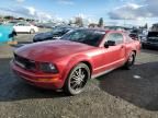 2005 Ford Mustang