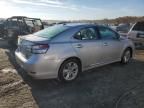 2010 Lexus HS 250H