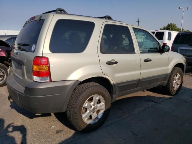 2005 Ford Escape XLT