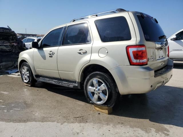 2011 Ford Escape Limited