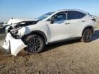 2024 Lexus NX 350H Base