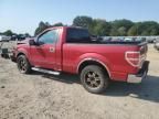 2009 Ford F150