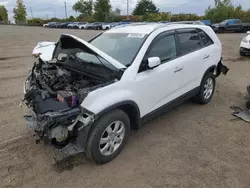 Salvage cars for sale at auction: 2011 KIA Sorento Base