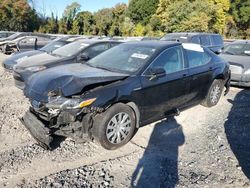 Salvage cars for sale at Glassboro, NJ auction: 2021 Toyota Camry LE