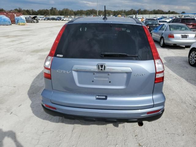 2010 Honda CR-V EXL