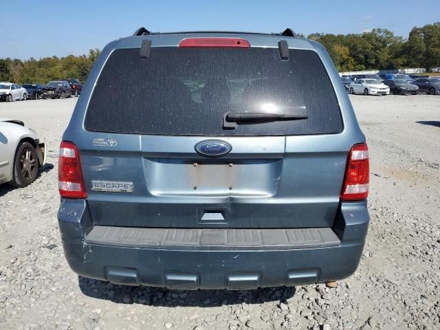 2010 Ford Escape XLT