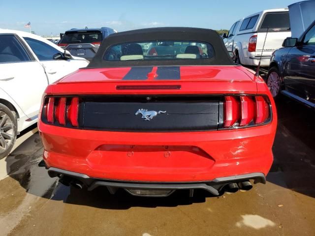 2019 Ford Mustang