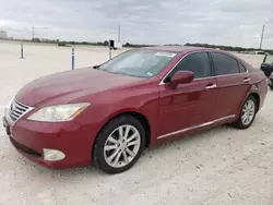 Lexus salvage cars for sale: 2010 Lexus ES 350