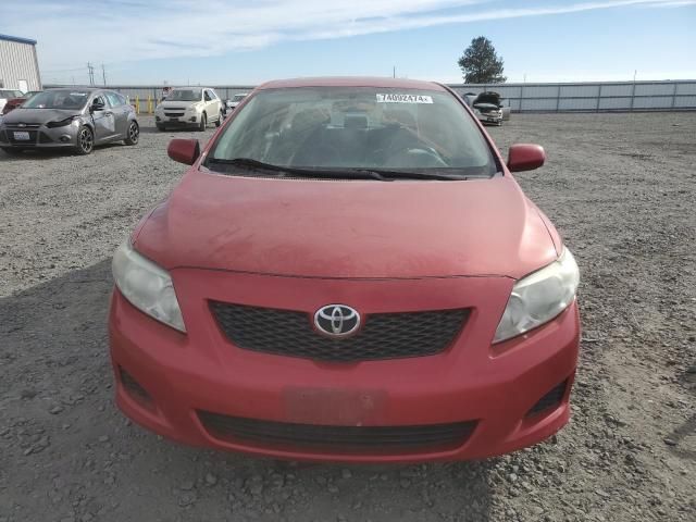 2010 Toyota Corolla Base