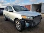 2007 Hyundai Santa FE SE