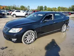 Lexus salvage cars for sale: 2010 Lexus LS 460