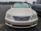 2011 Lexus LS 460