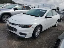 Salvage cars for sale from Copart Apopka, FL: 2018 Chevrolet Malibu LT