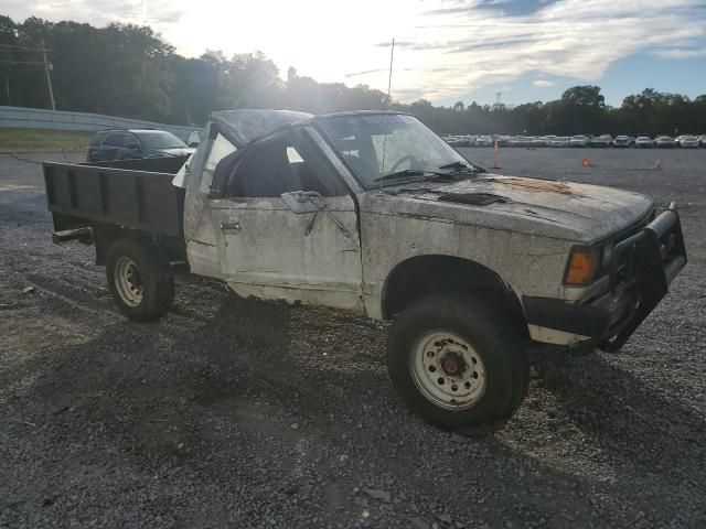 1981 Datsun 720 King Cab