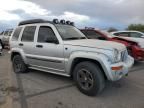 2004 Jeep Liberty Renegade