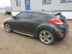 2013 Hyundai Veloster Turbo