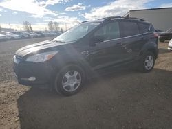 Ford salvage cars for sale: 2013 Ford Escape SE