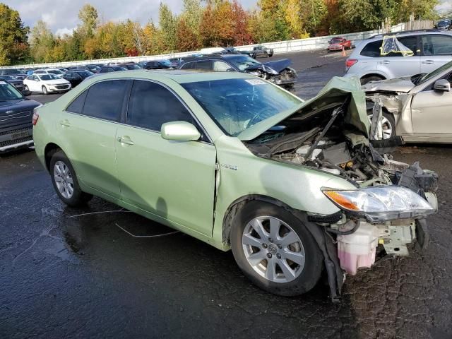 2009 Toyota Camry Hybrid