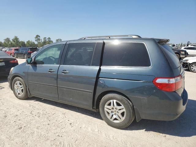 2005 Honda Odyssey EXL