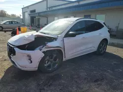 Ford Escape st salvage cars for sale: 2023 Ford Escape ST Line