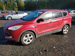 Salvage cars for sale at Graham, WA auction: 2015 Ford Escape SE