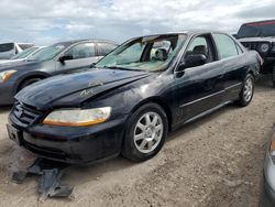 Salvage cars for sale at Riverview, FL auction: 2002 Honda Accord SE