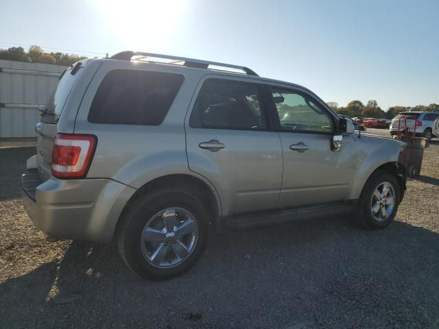 2011 Ford Escape Limited