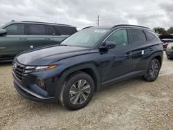 2024 Hyundai Tucson Blue en venta en Arcadia, FL