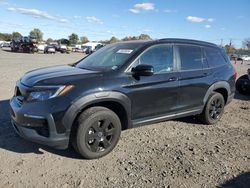 Salvage cars for sale at Hillsborough, NJ auction: 2022 Honda Pilot Trailsport