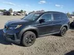 2022 Honda Pilot Trailsport