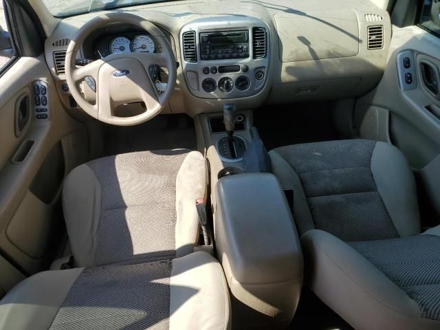 2005 Ford Escape XLT