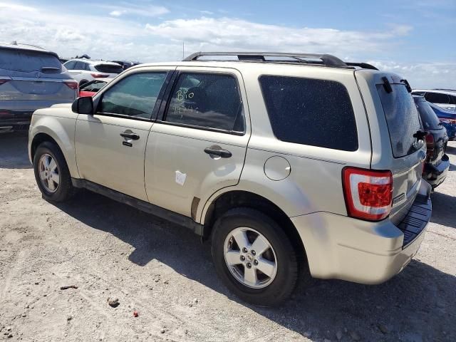 2010 Ford Escape XLT