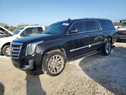 2019 Cadillac Escalade ESV Luxury en venta en Arcadia, FL