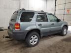 2007 Ford Escape XLT