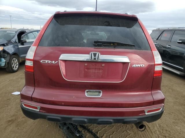 2010 Honda CR-V EXL