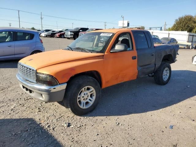 2001 Dodge Dakota Quattro