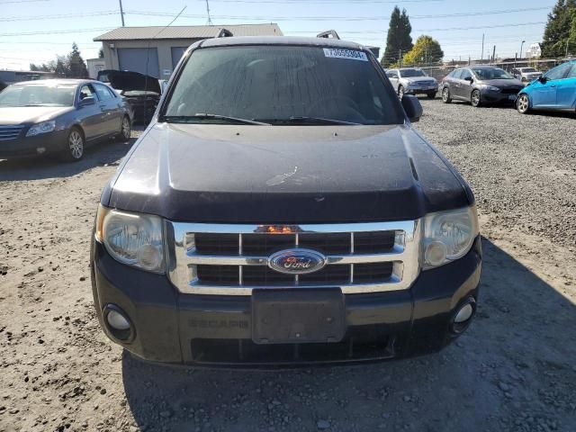 2008 Ford Escape XLT