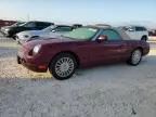 2004 Ford Thunderbird