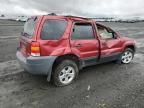 2005 Ford Escape XLT