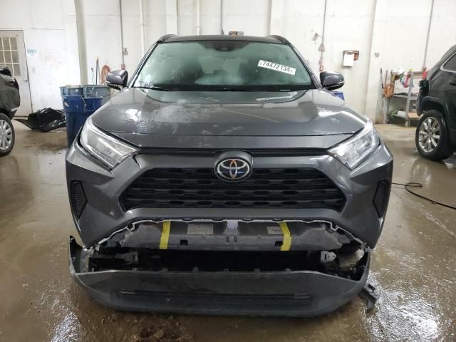 2019 Toyota Rav4 XLE