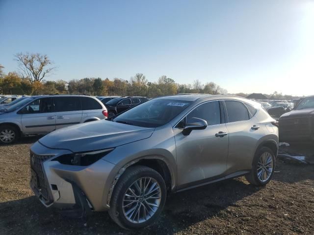 2022 Lexus NX 350