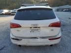 2010 Audi Q5 Premium Plus