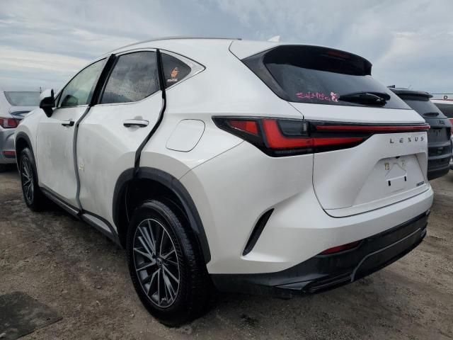 2022 Lexus NX 250