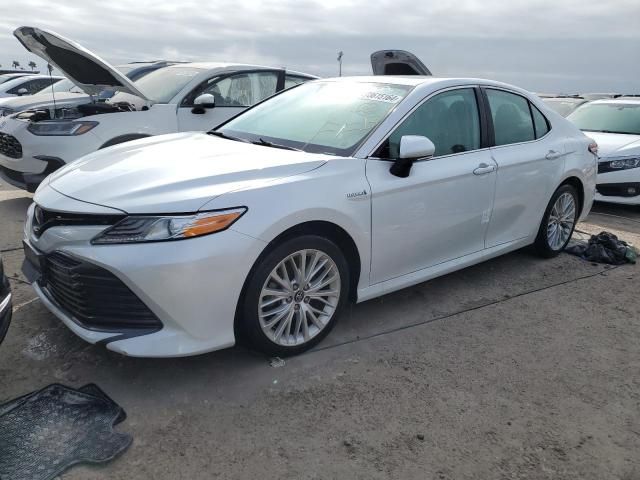 2019 Toyota Camry Hybrid