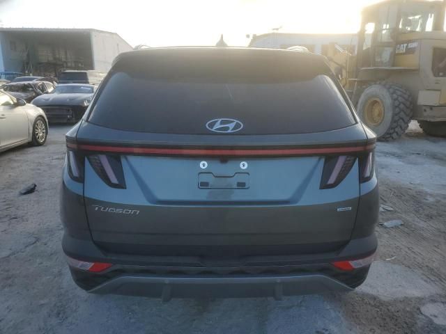 2023 Hyundai Tucson Limited