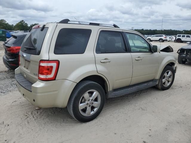 2011 Ford Escape Limited