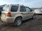 2007 Ford Escape XLT