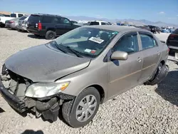 Salvage cars for sale at Magna, UT auction: 2010 Toyota Corolla Base