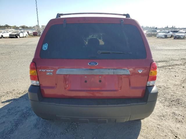 2006 Ford Escape XLT