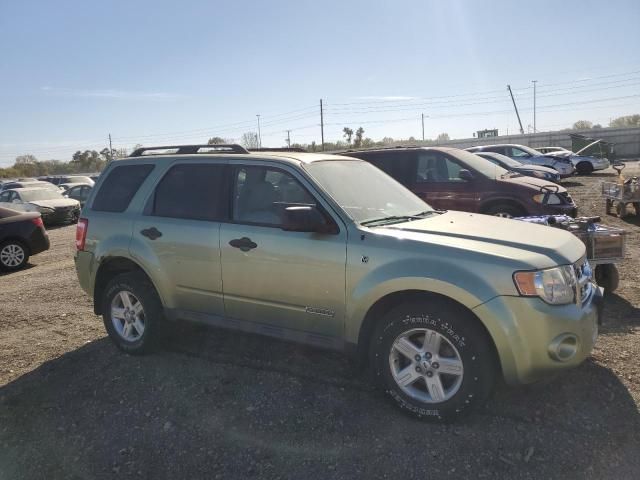 2008 Ford Escape HEV